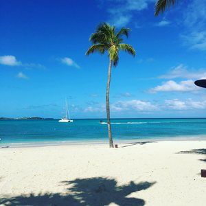 Meet your Posher, Arianna